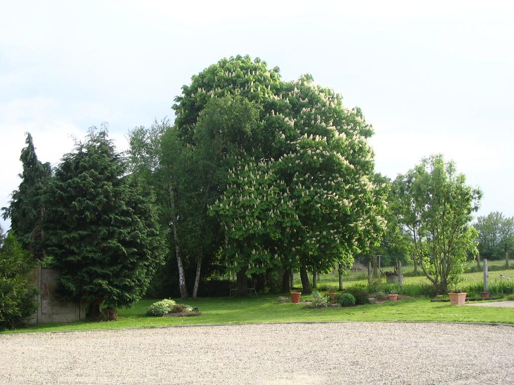 Les Malvaux Bed & Breakfast Huriel Luaran gambar
